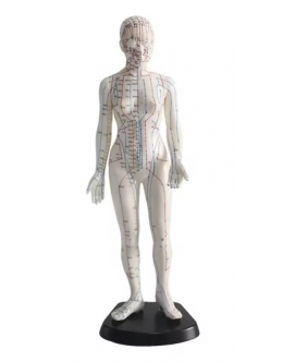 Γυναικείο Μοντέλο Βελονισμού – 48 cm